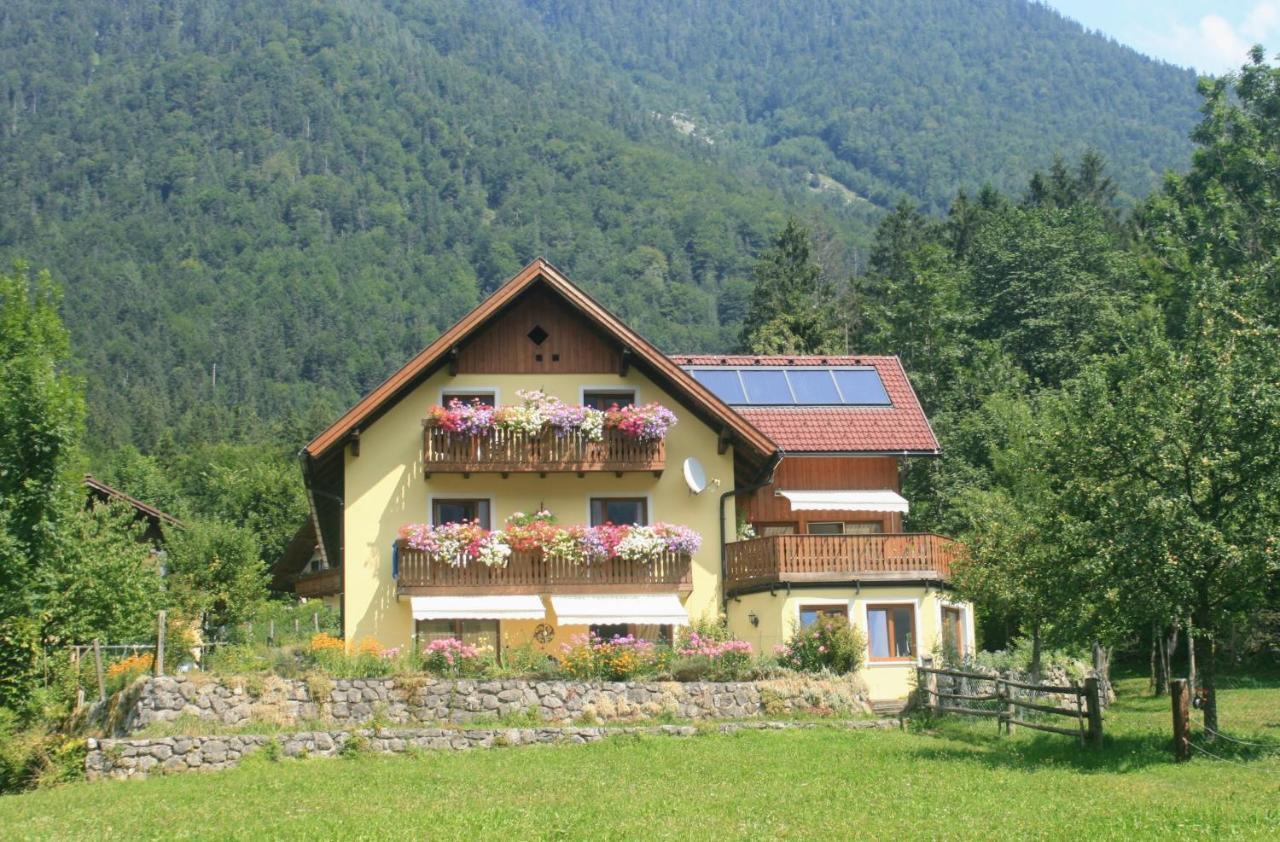 Haus Hepi Hotel Obertraun Exterior photo